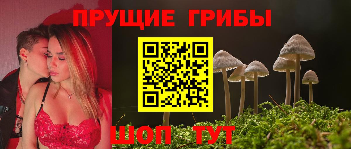 Галлюциногенные грибы GOLDEN TEACHER Сургут