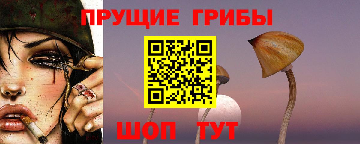 Псилоцибиновые грибы прущие грибы  Вход с VPN  Сургут 